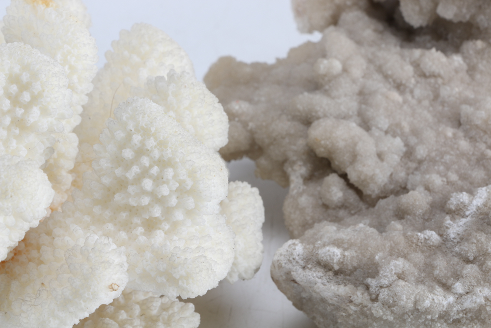 Collection of Sea Themed Items