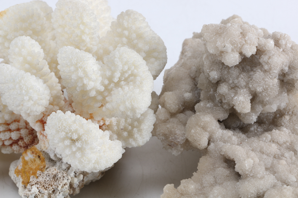 Collection of Sea Themed Items