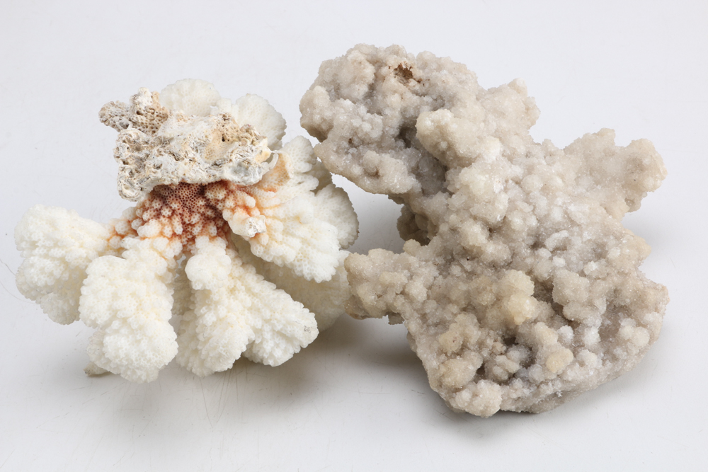 Collection of Sea Themed Items