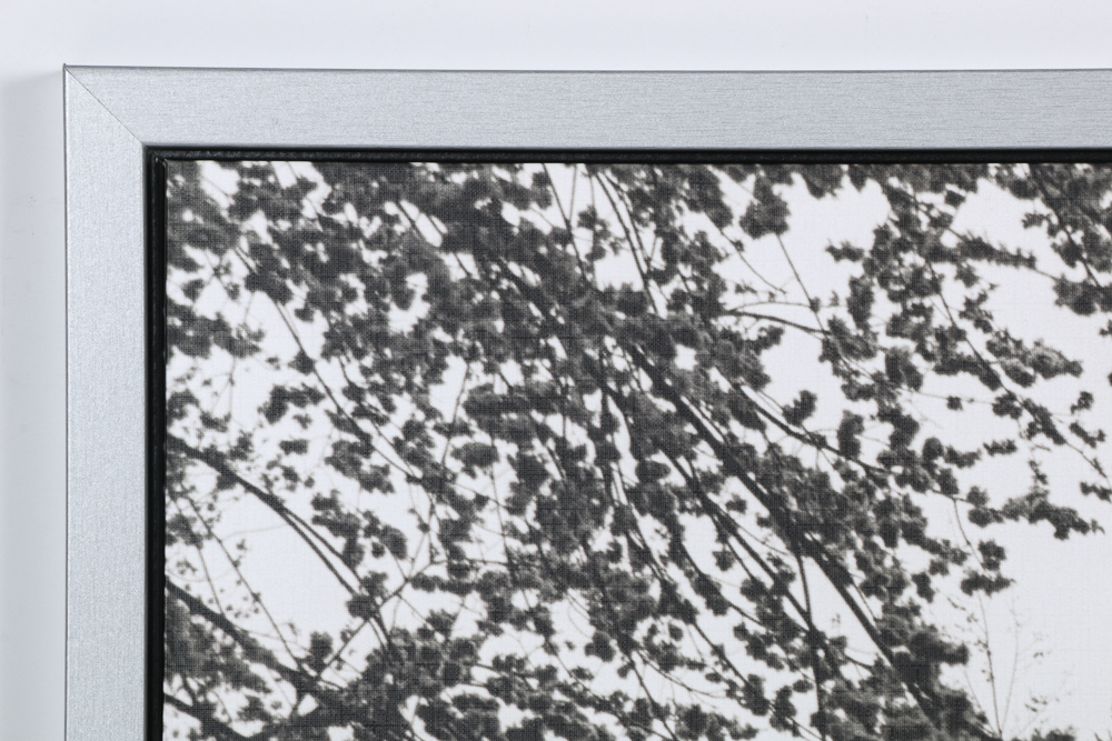 Ikea Vishult Offset Lithograph After Fernando Bengoechea