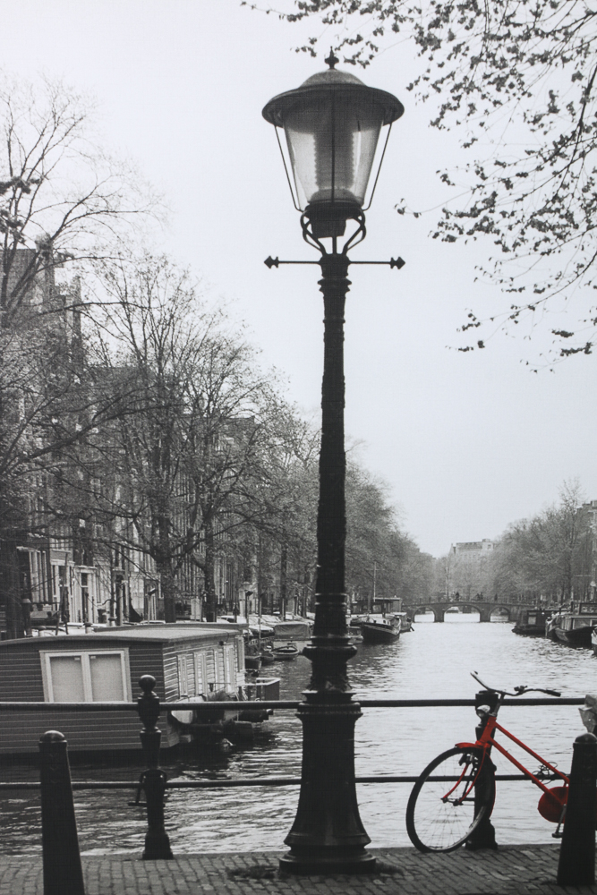 Ikea Vishult Offset Lithograph After Fernando Bengoechea