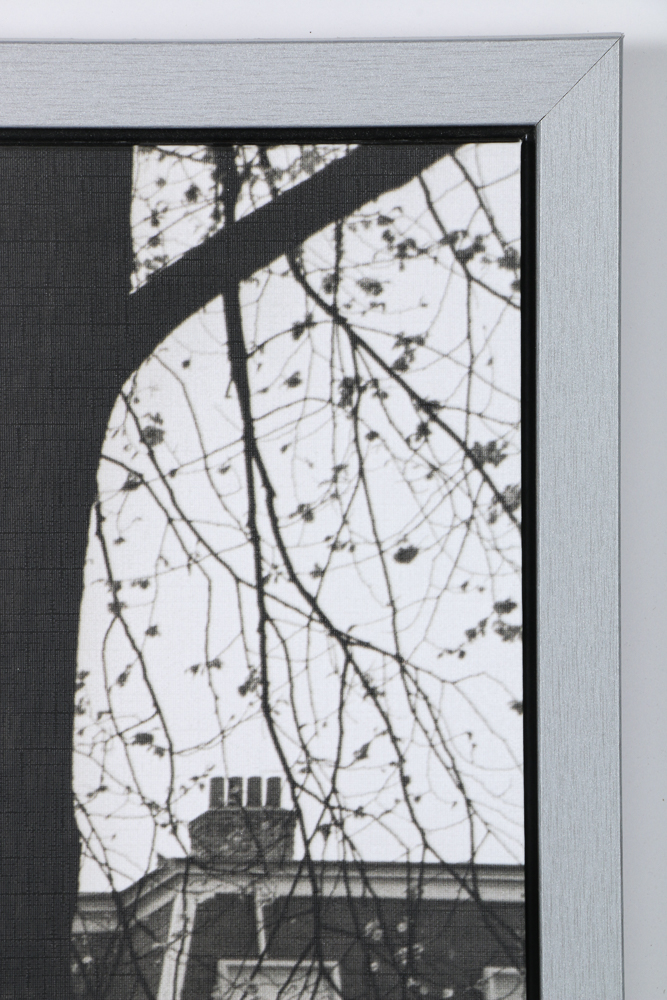 Ikea Vishult Offset Lithograph After Fernando Bengoechea