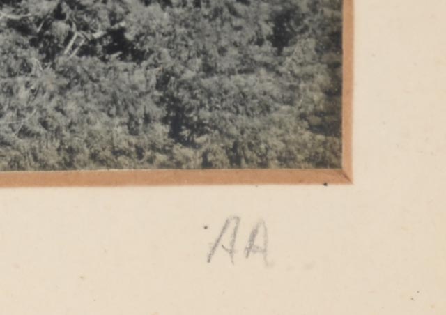 Ansel Adams 1948 Silver Gelatin Photograph