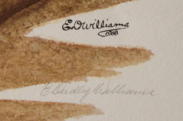 E. Dudley Williams Signed Offset Lithograph "Ring-neck Pheasant"