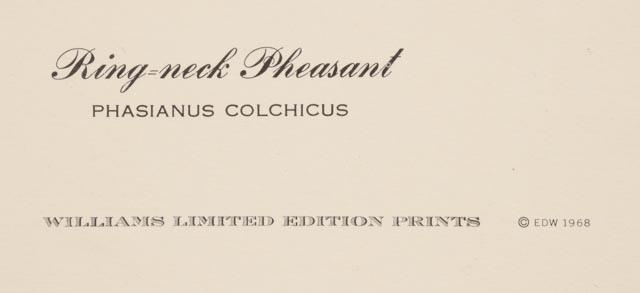 E. Dudley Williams Signed Offset Lithograph "Ring-neck Pheasant"