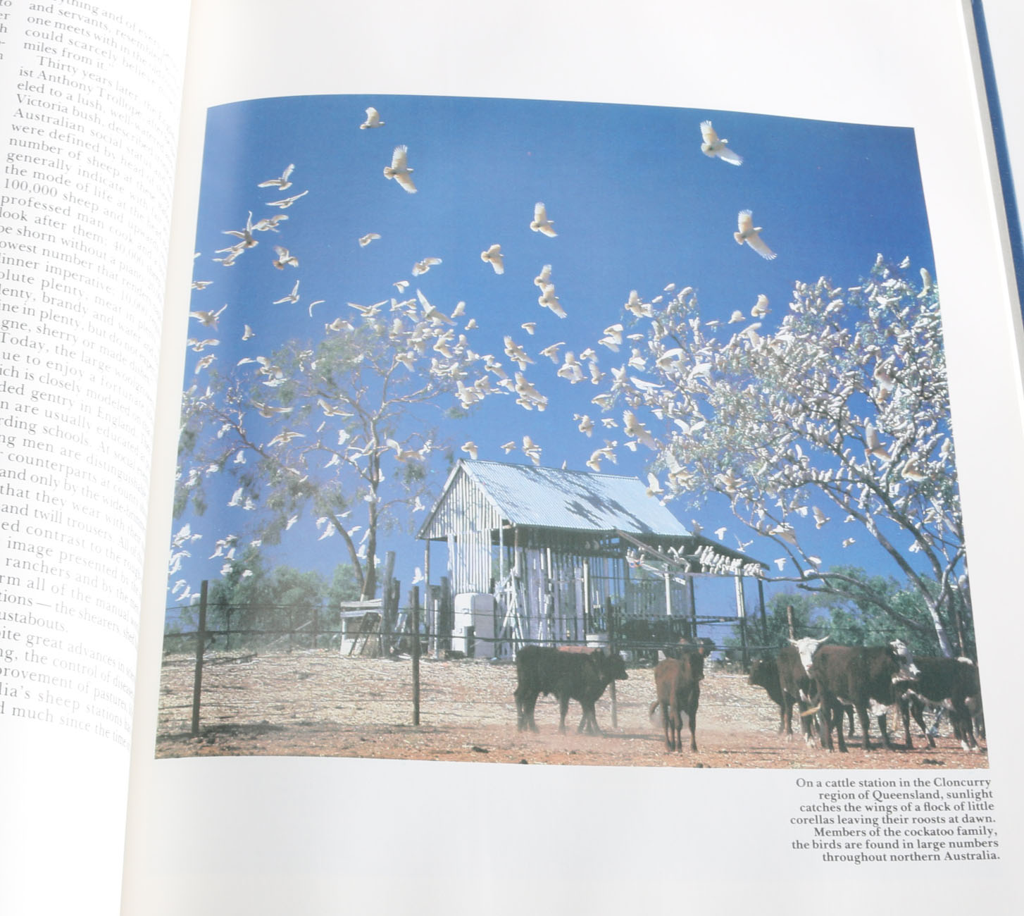 Twenty-Volume "Library of Nations" Book Set