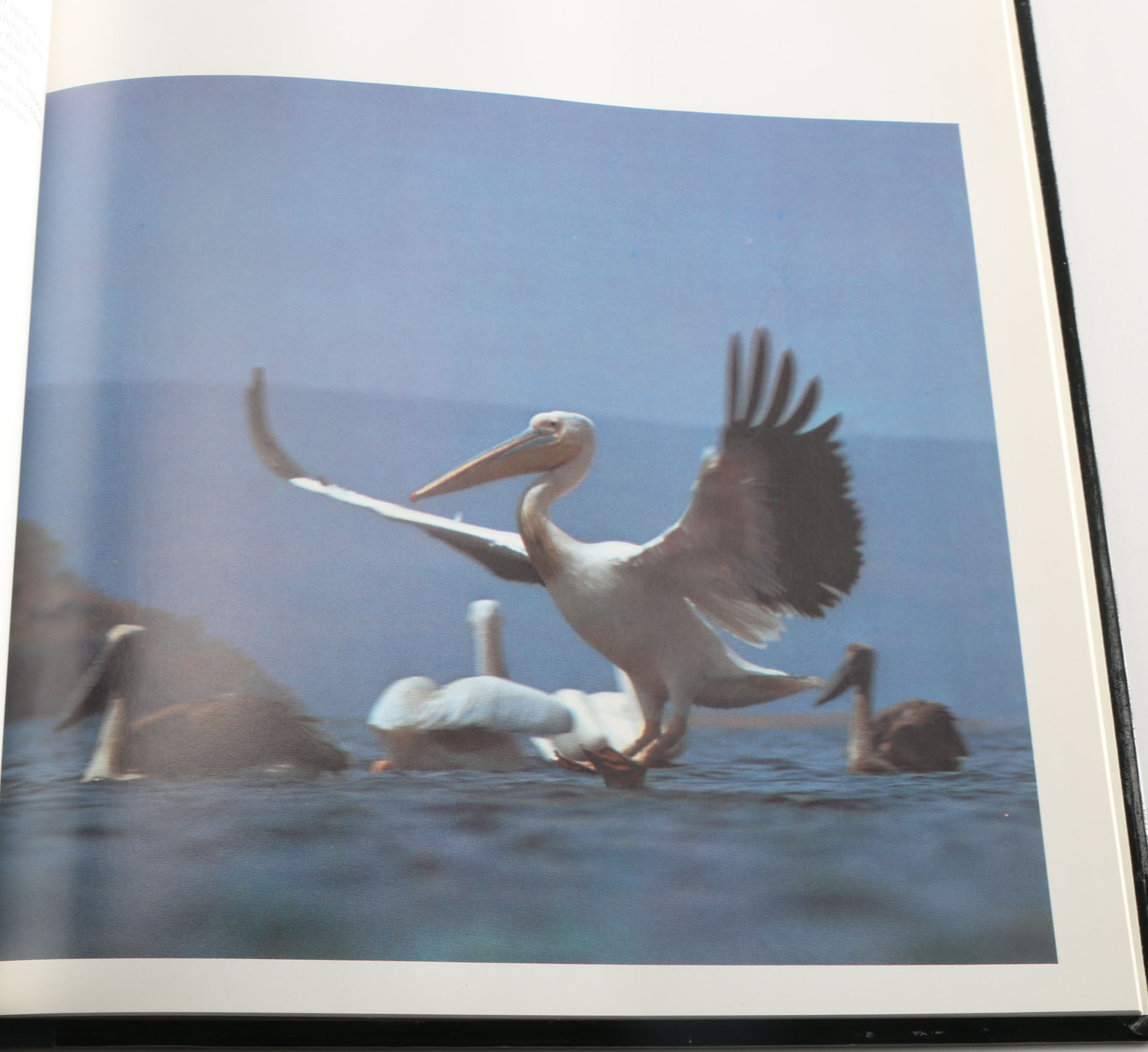 Collection of Time-Life "The World's Wild Places" Books