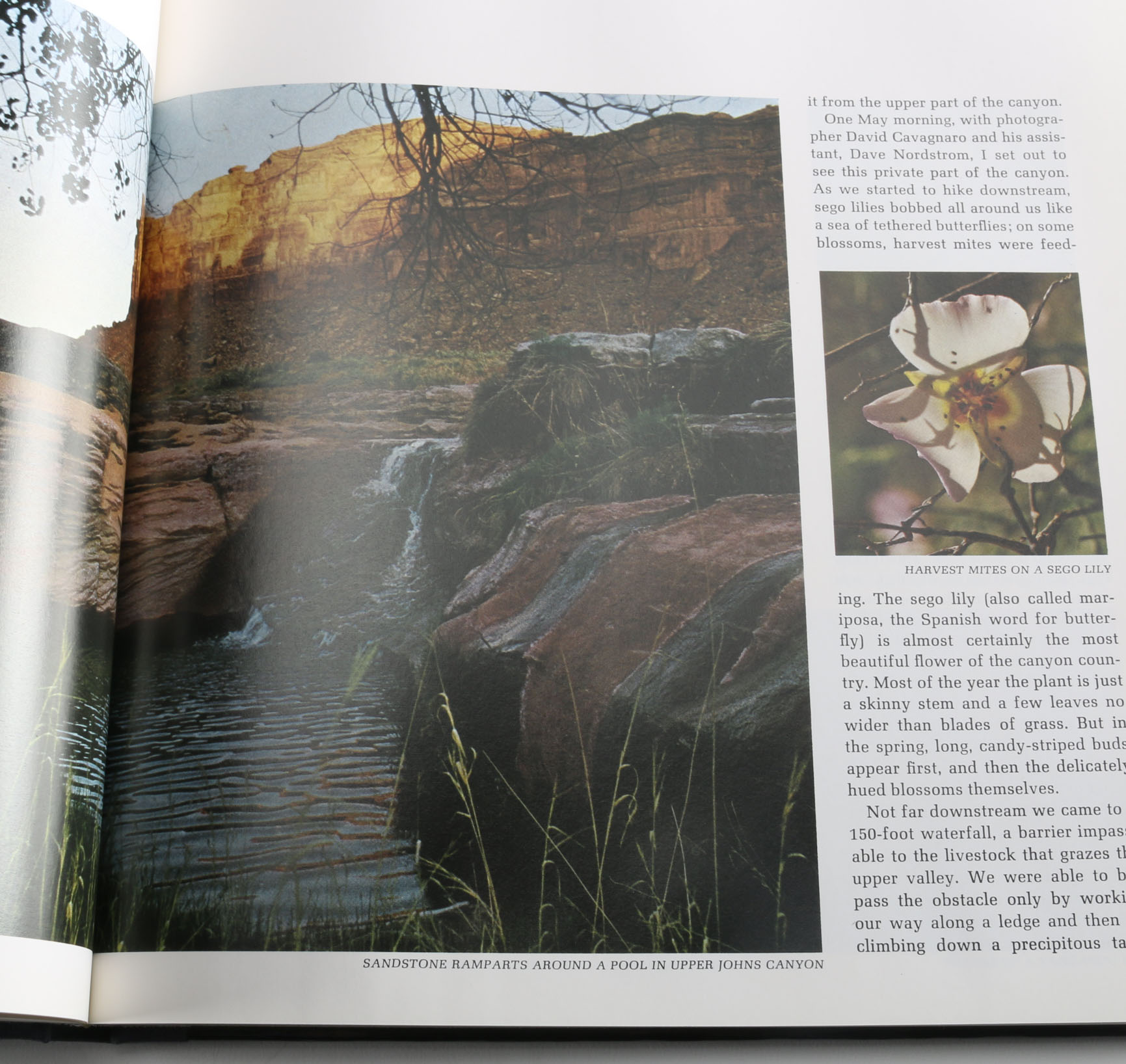 Collection of Time-Life "The World's Wild Places" Books