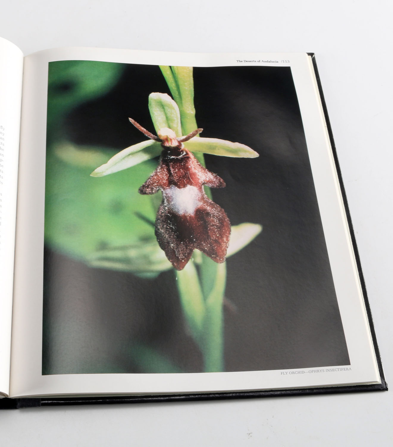 Collection of Time-Life "The World's Wild Places" Books