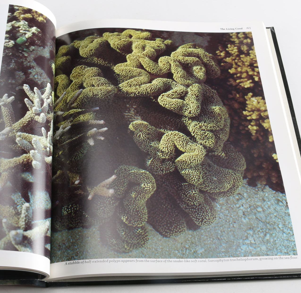 Collection of Time-Life "The World's Wild Places" Books