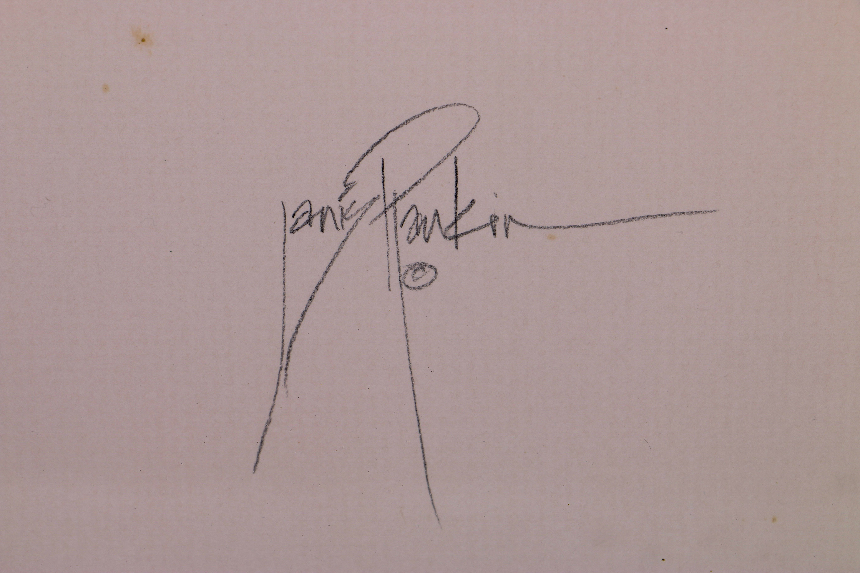 Janis Pankin Framed Cut Paper Collage "King Fisher"