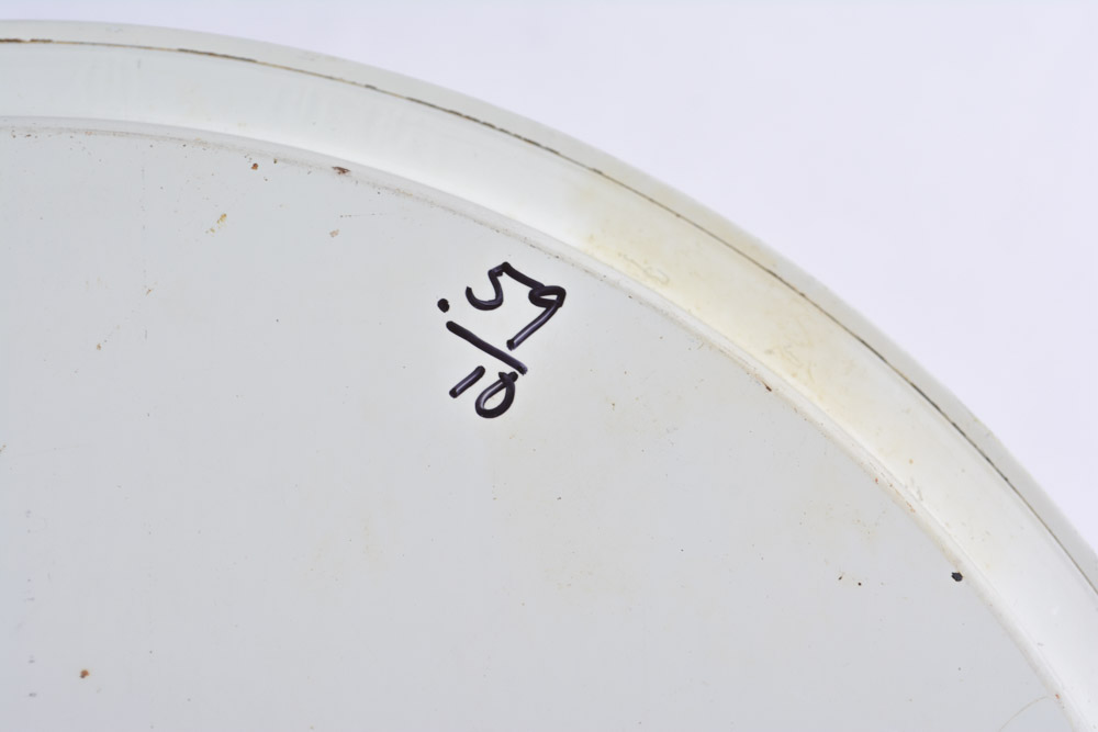 Disney Themed Tin Trays