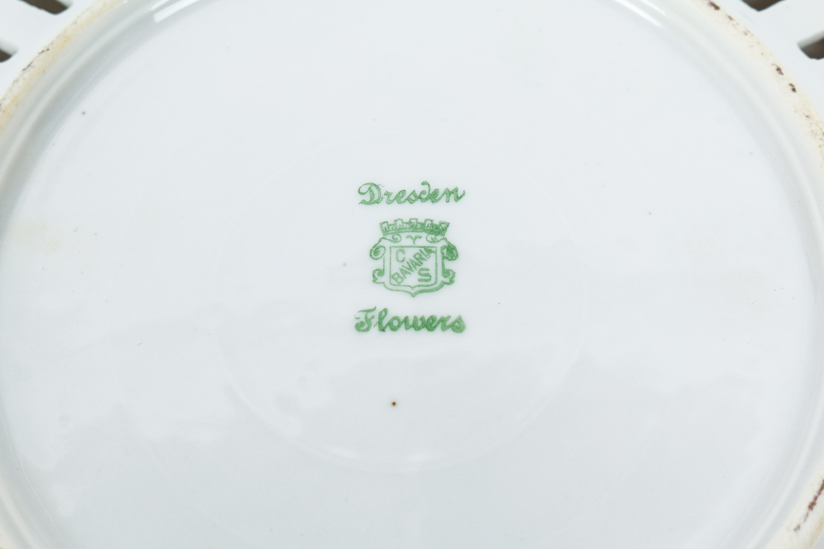 Pair of Carl Schumann of Bavaria "Dresden Flowers" Plates