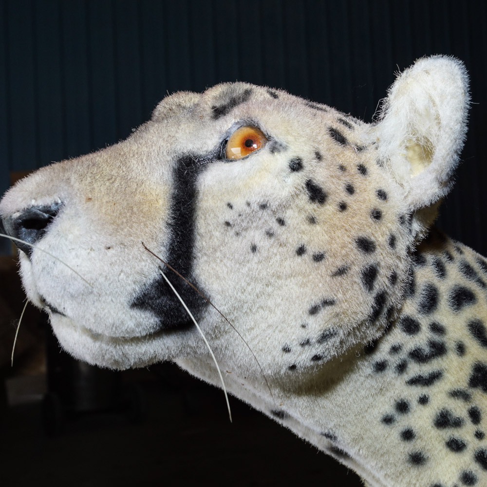 Life Size Cheetah Display