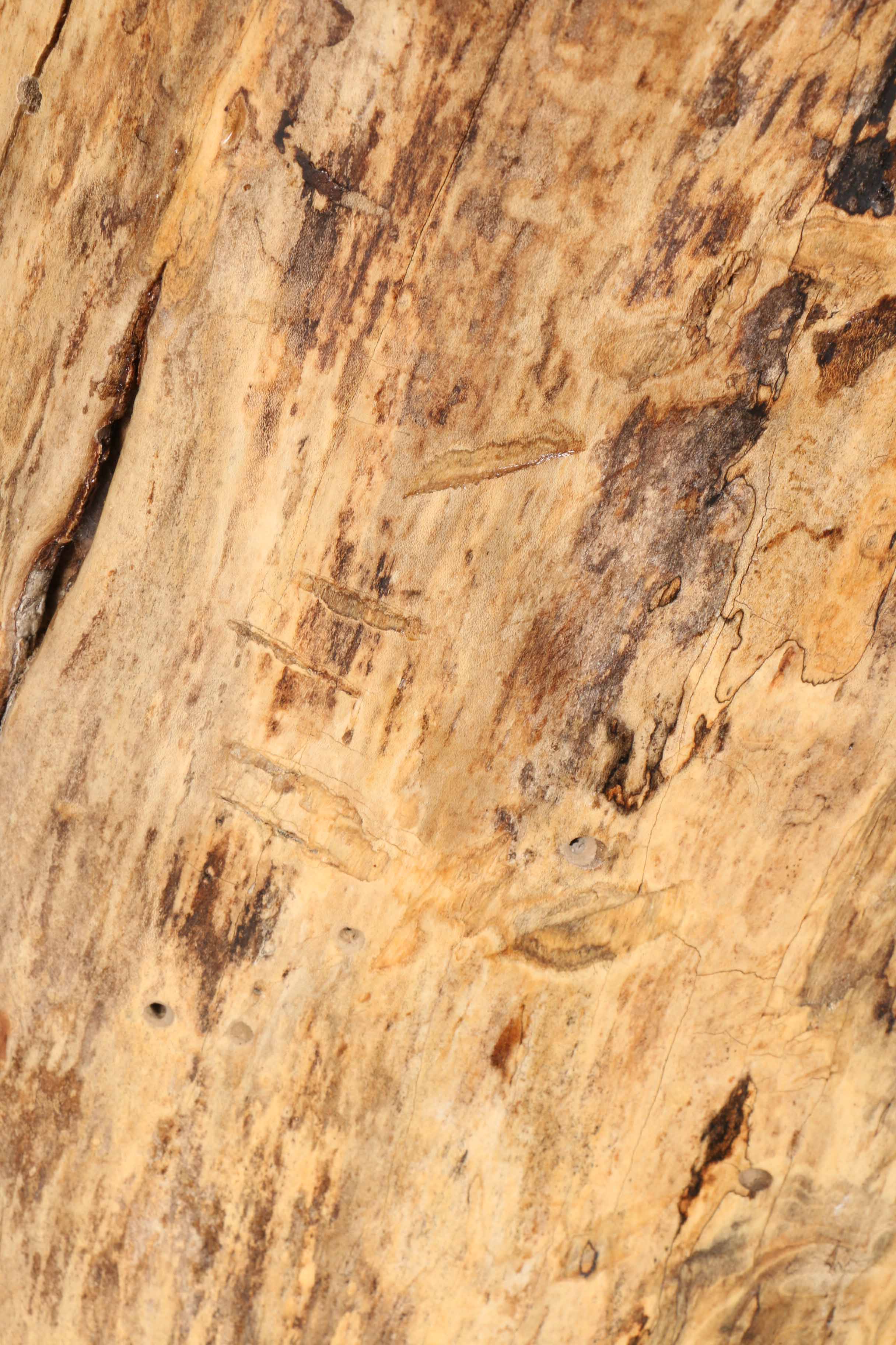 Natural Carved Wooden Base Sculpture