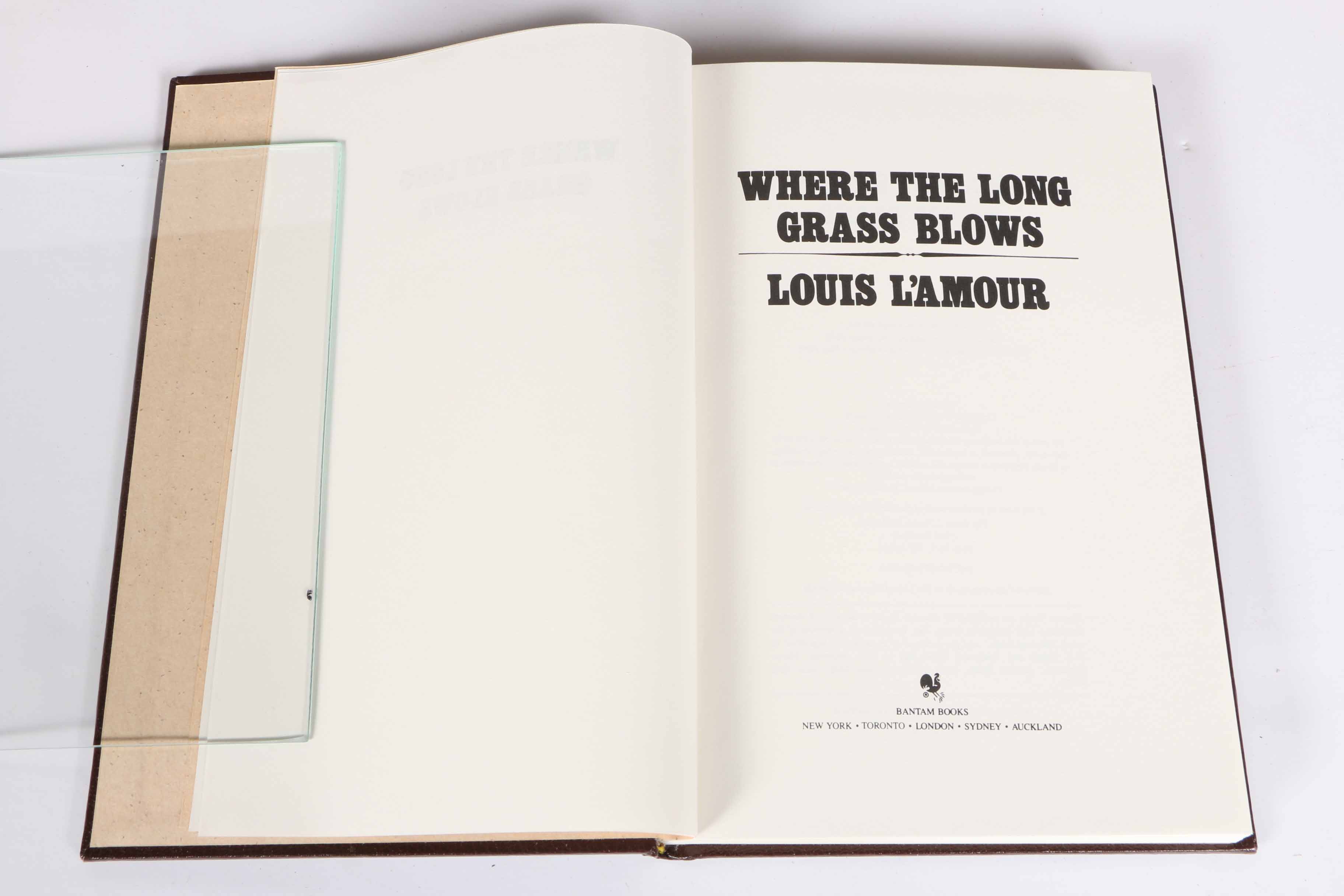 Collection of Louis L'amour Books