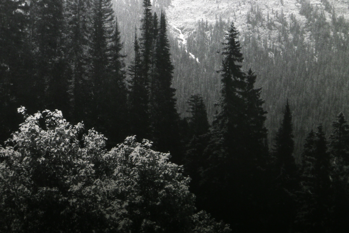 Two  Ansel Adams Posters "The Mural Project 1941-1942"