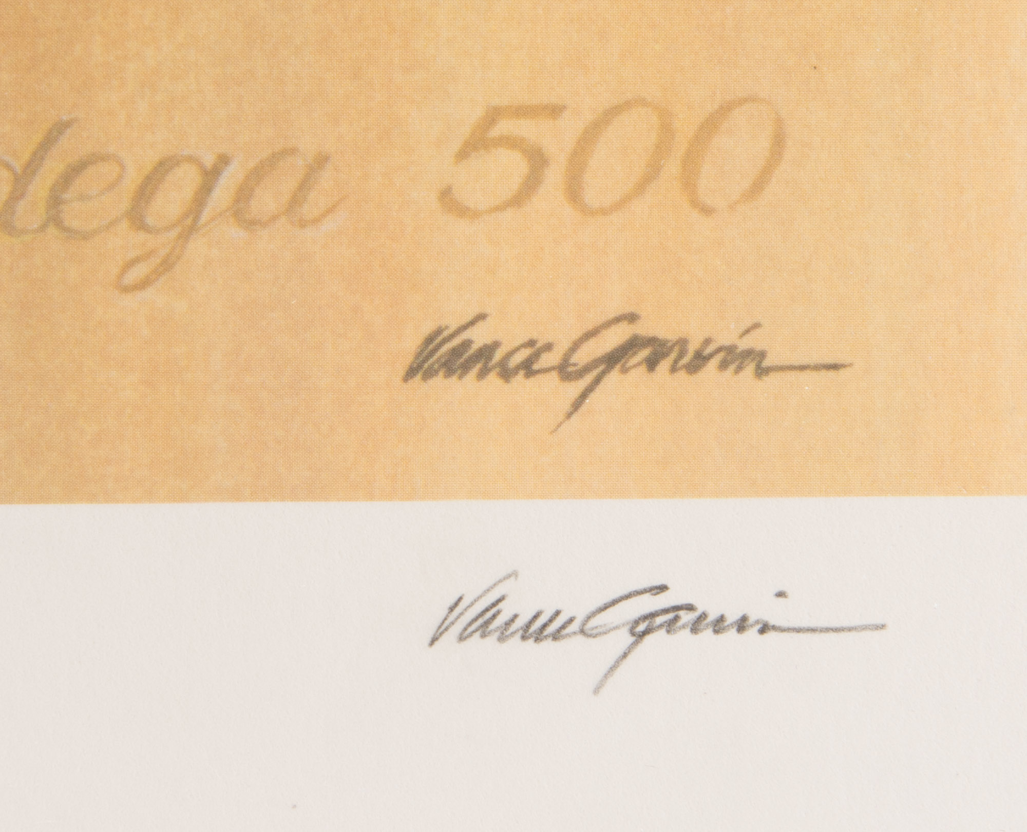 Richard Petty Signed Offset Lithograph by Vance Garvin