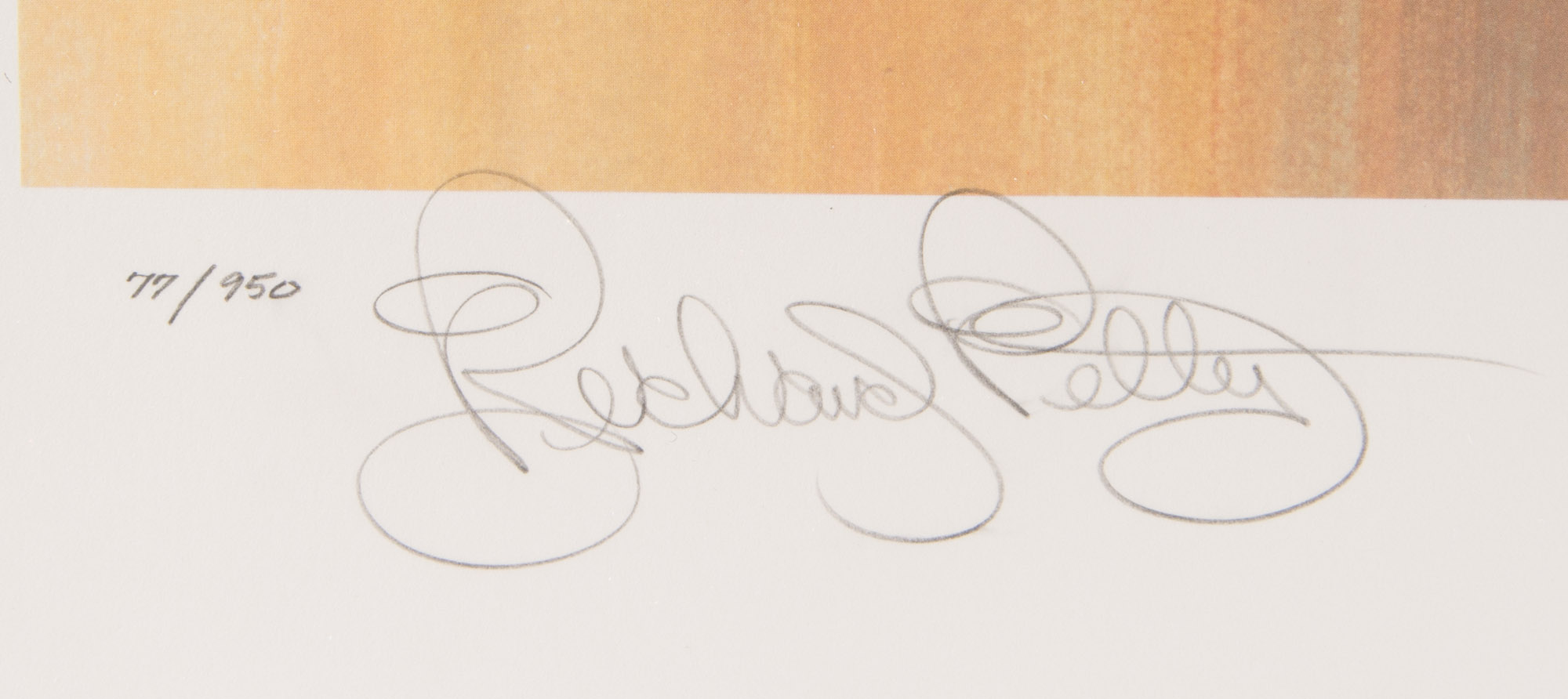 Richard Petty Signed Offset Lithograph by Vance Garvin