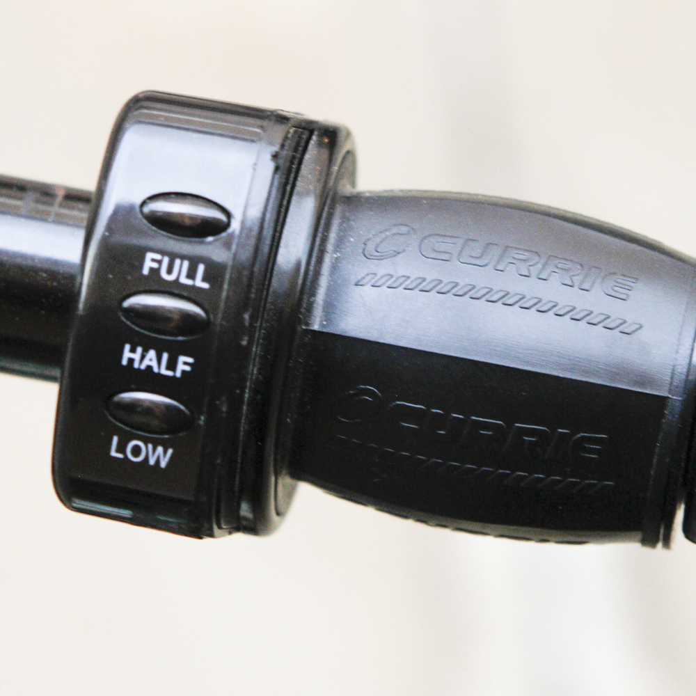 Currie Technologies 500 E-Zip Electric Scooter (Green)