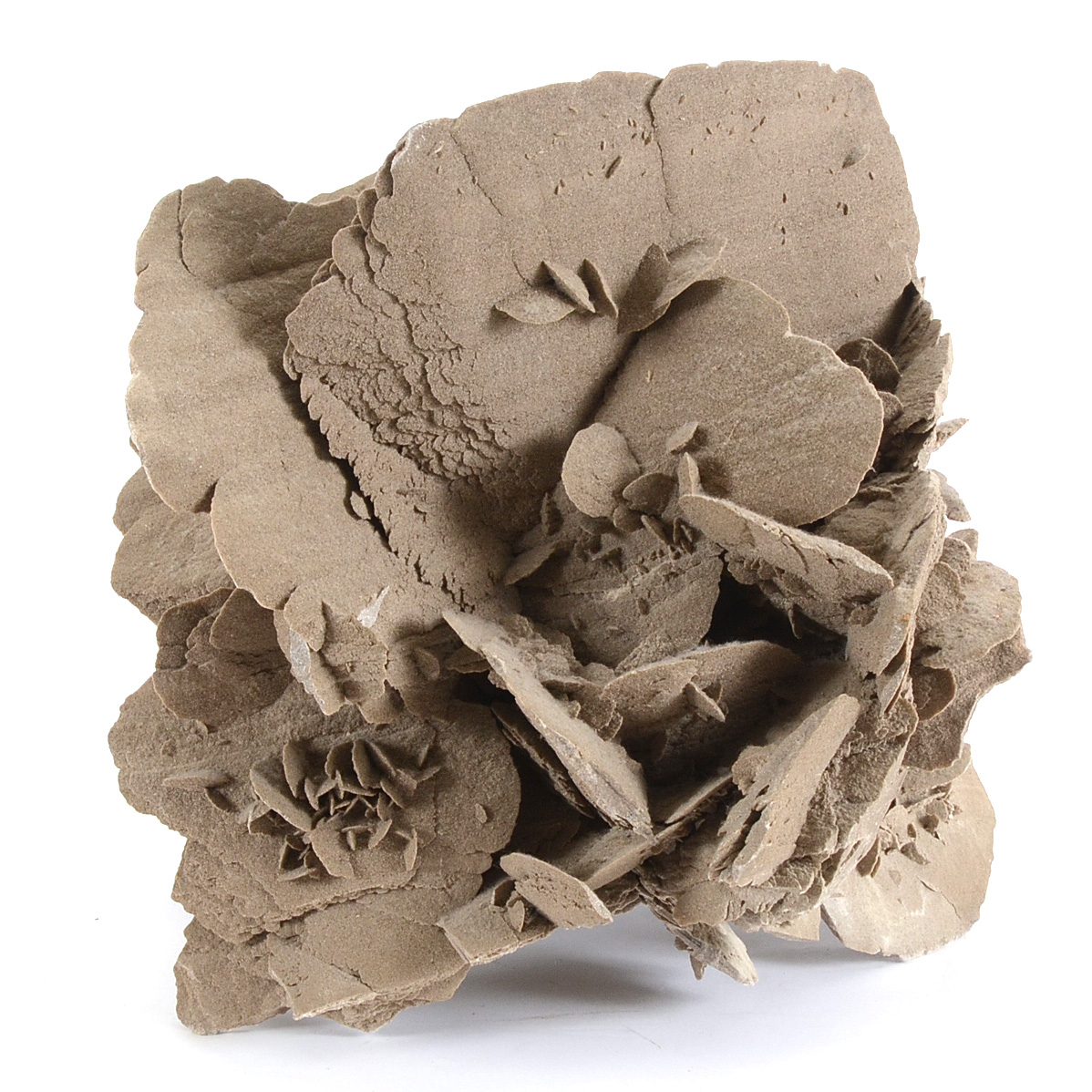 Gypsum Selenite Desert Rose Cluster Mineral