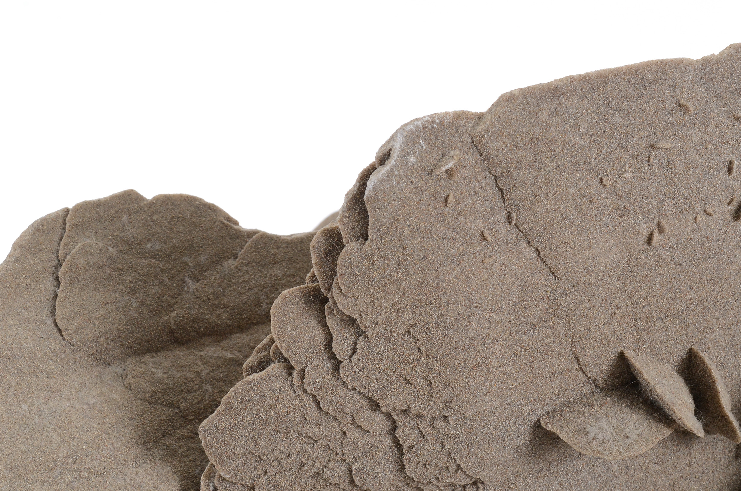 Gypsum Selenite Desert Rose Cluster Mineral