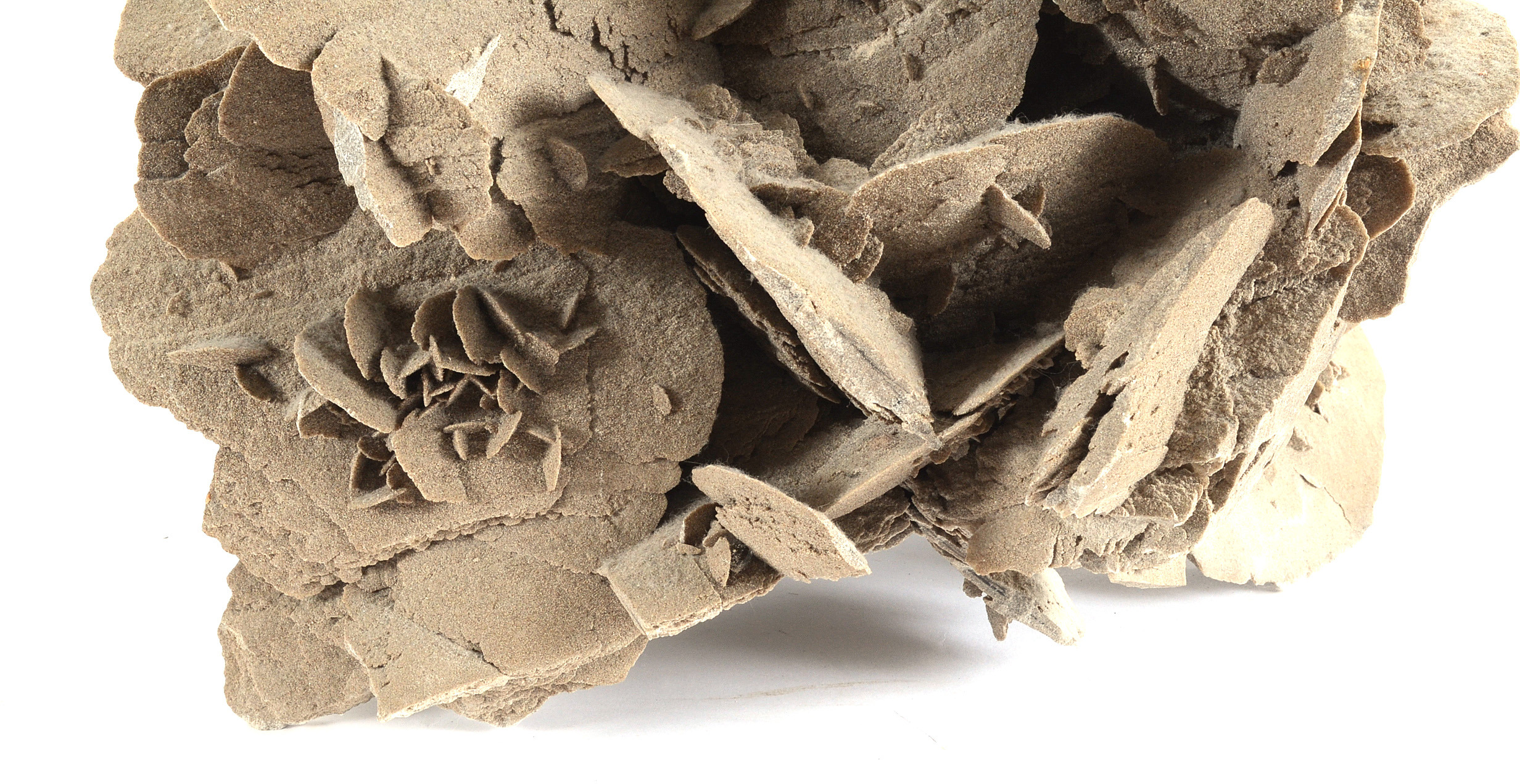 Gypsum Selenite Desert Rose Cluster Mineral