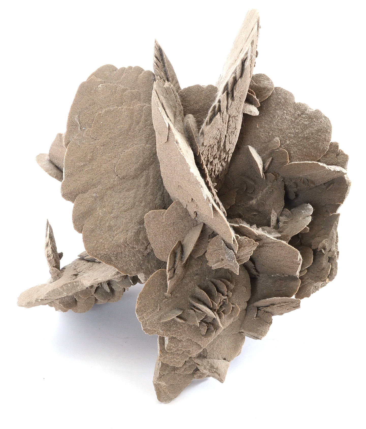 Gypsum Selenite Desert Rose Cluster Mineral