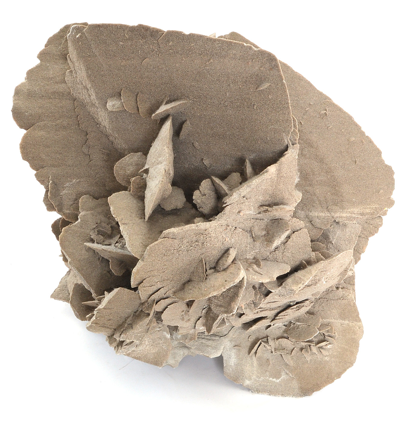 Gypsum Selenite Desert Rose Cluster Mineral