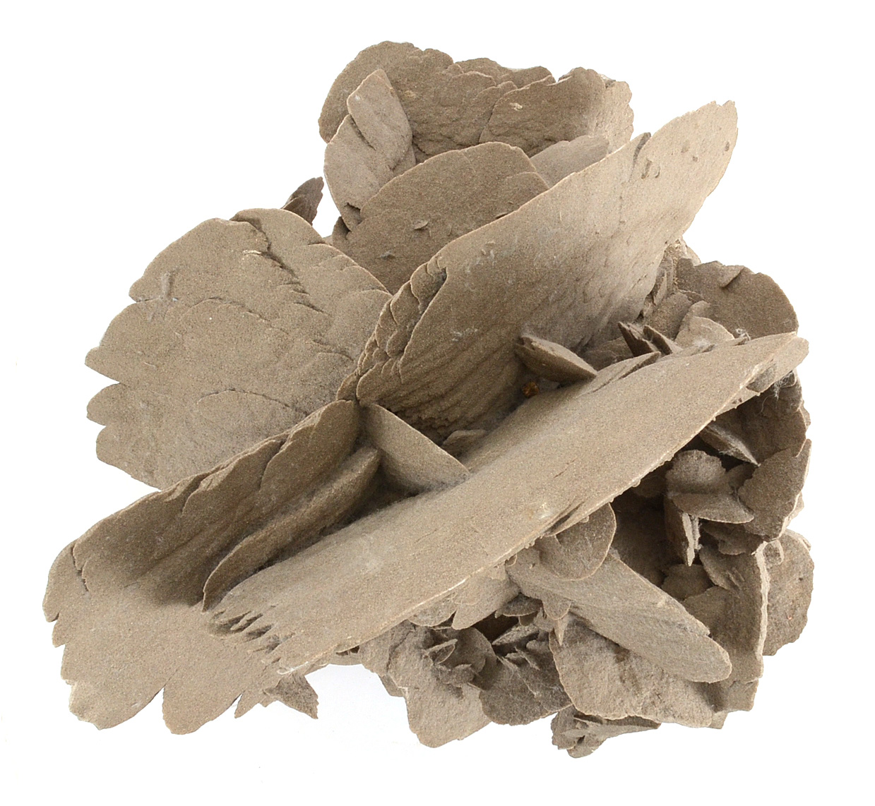 Gypsum Selenite Desert Rose Cluster Mineral