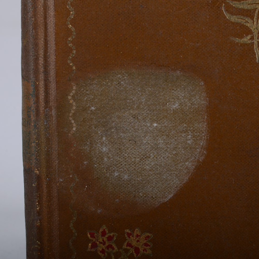 1895 Edition of "Weird Tales" by Edgar Allan Poe