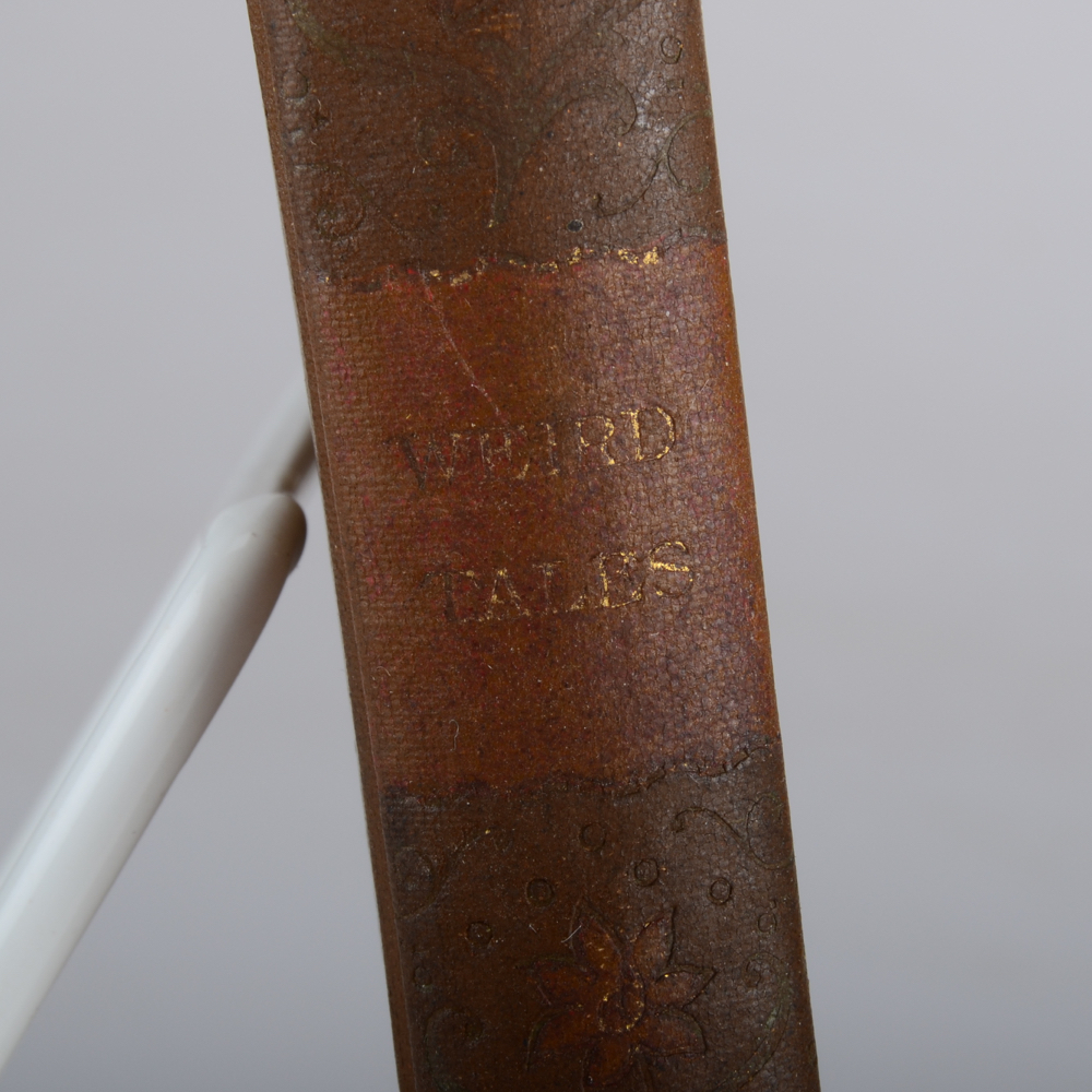 1895 Edition of "Weird Tales" by Edgar Allan Poe