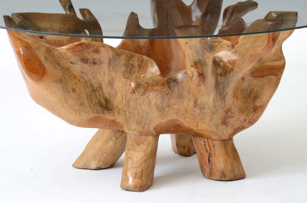 Natural Root Sculpted Coffee Table