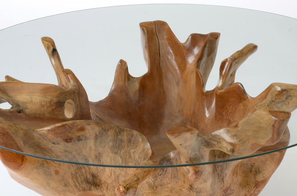 Natural Root Sculpted Coffee Table