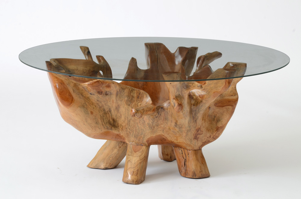 Natural Root Sculpted Coffee Table