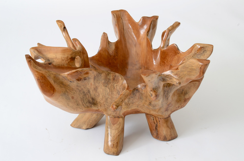 Natural Root Sculpted Coffee Table