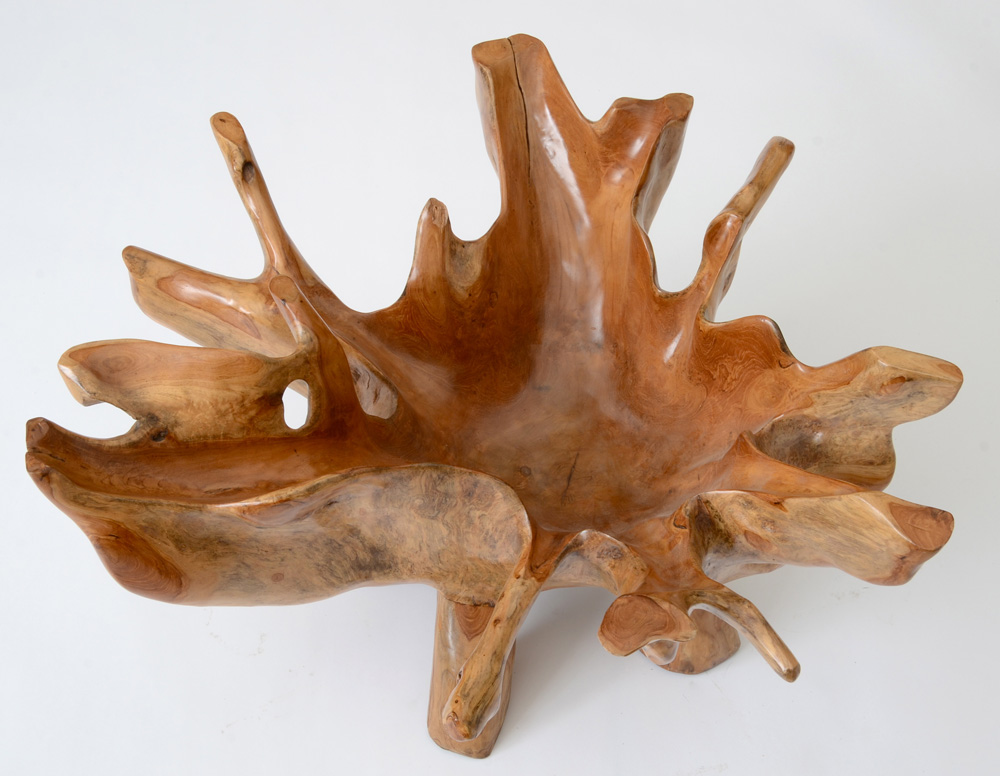 Natural Root Sculpted Coffee Table