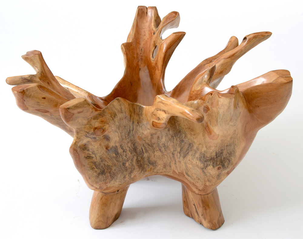 Natural Root Sculpted Coffee Table