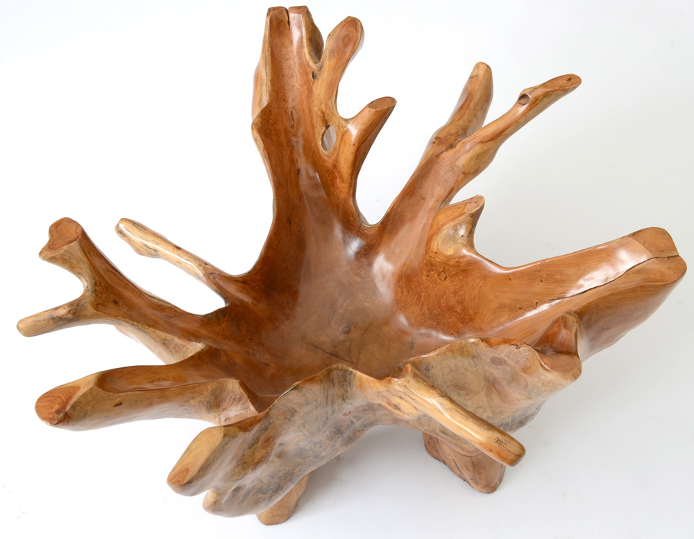 Natural Root Sculpted Coffee Table