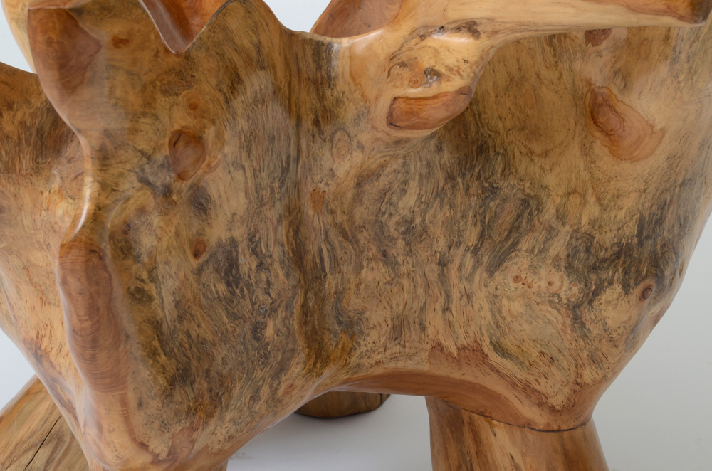 Natural Root Sculpted Coffee Table