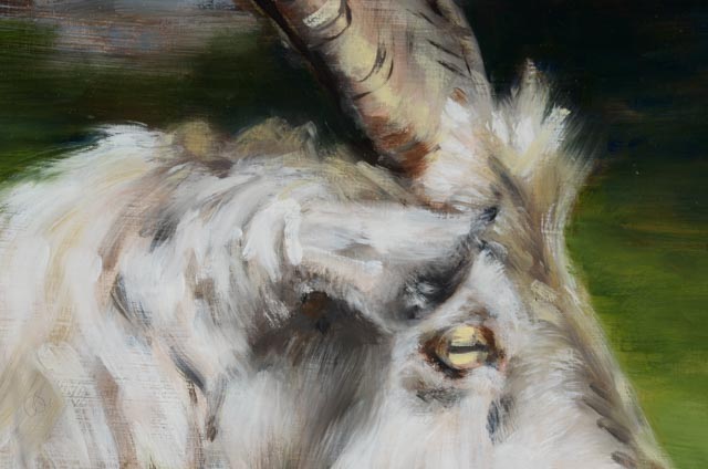 Marlena Hebenstreit Original Oil on Panel "Billy Goat"