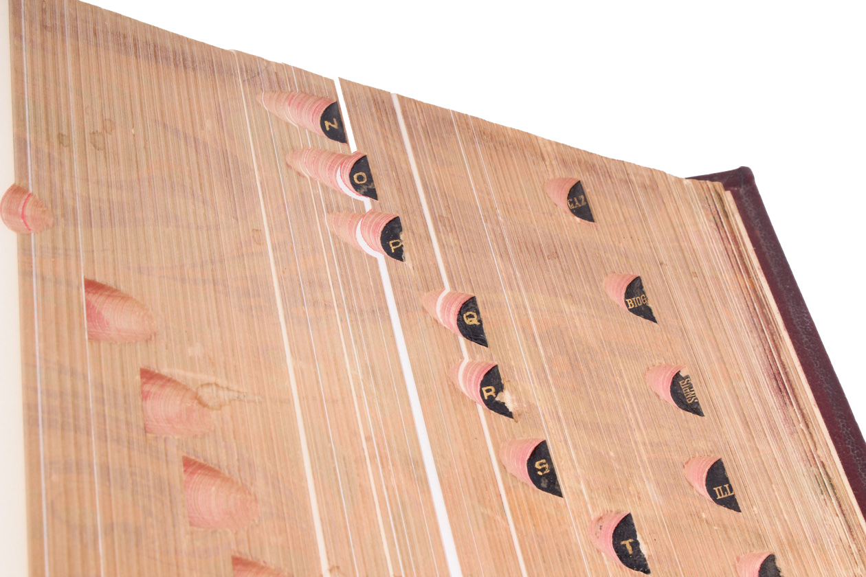 Vintage 1930 Webster's Dictionary