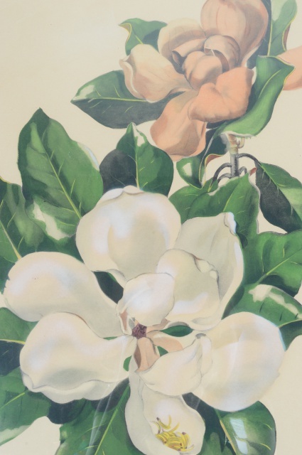 Original Mid Century Watercolor by Jean Rathborne