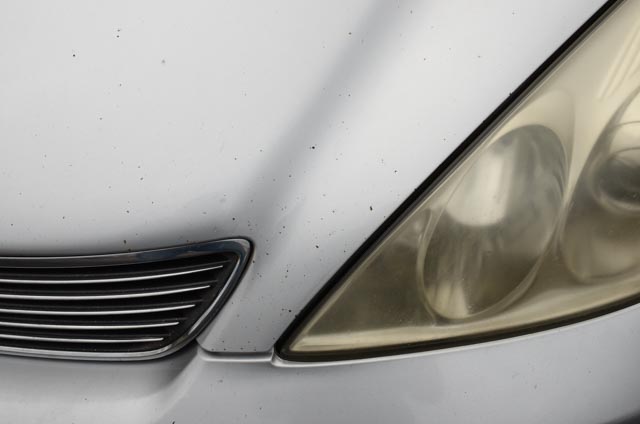 2005 Lexus ES330 Sedan