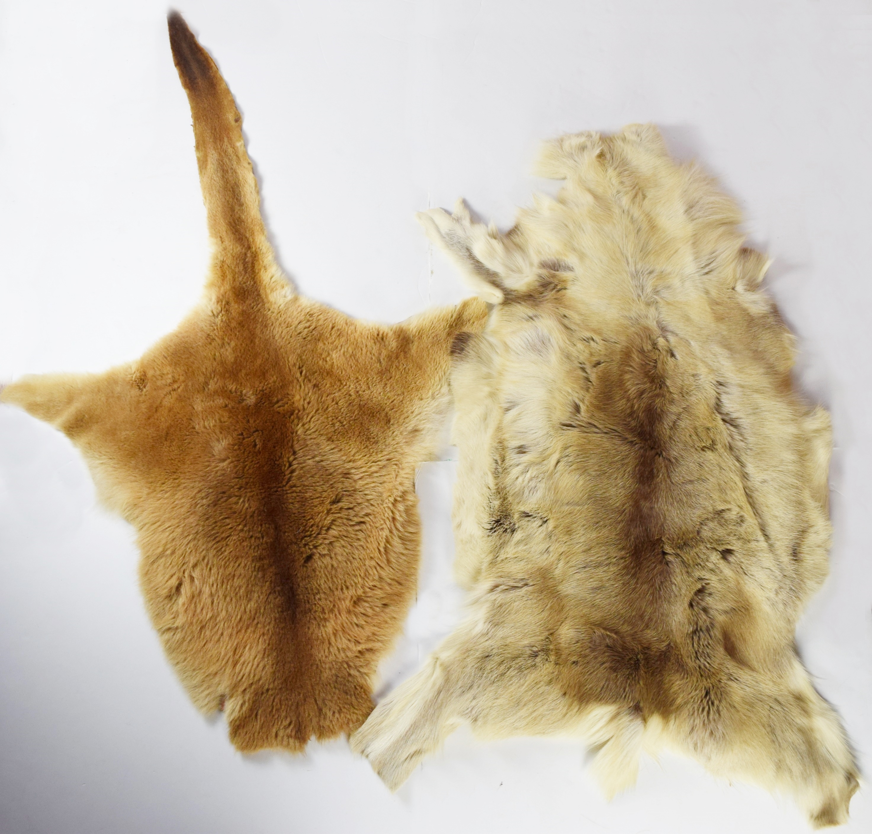 Kangaroo and Caribou Fur Pelts