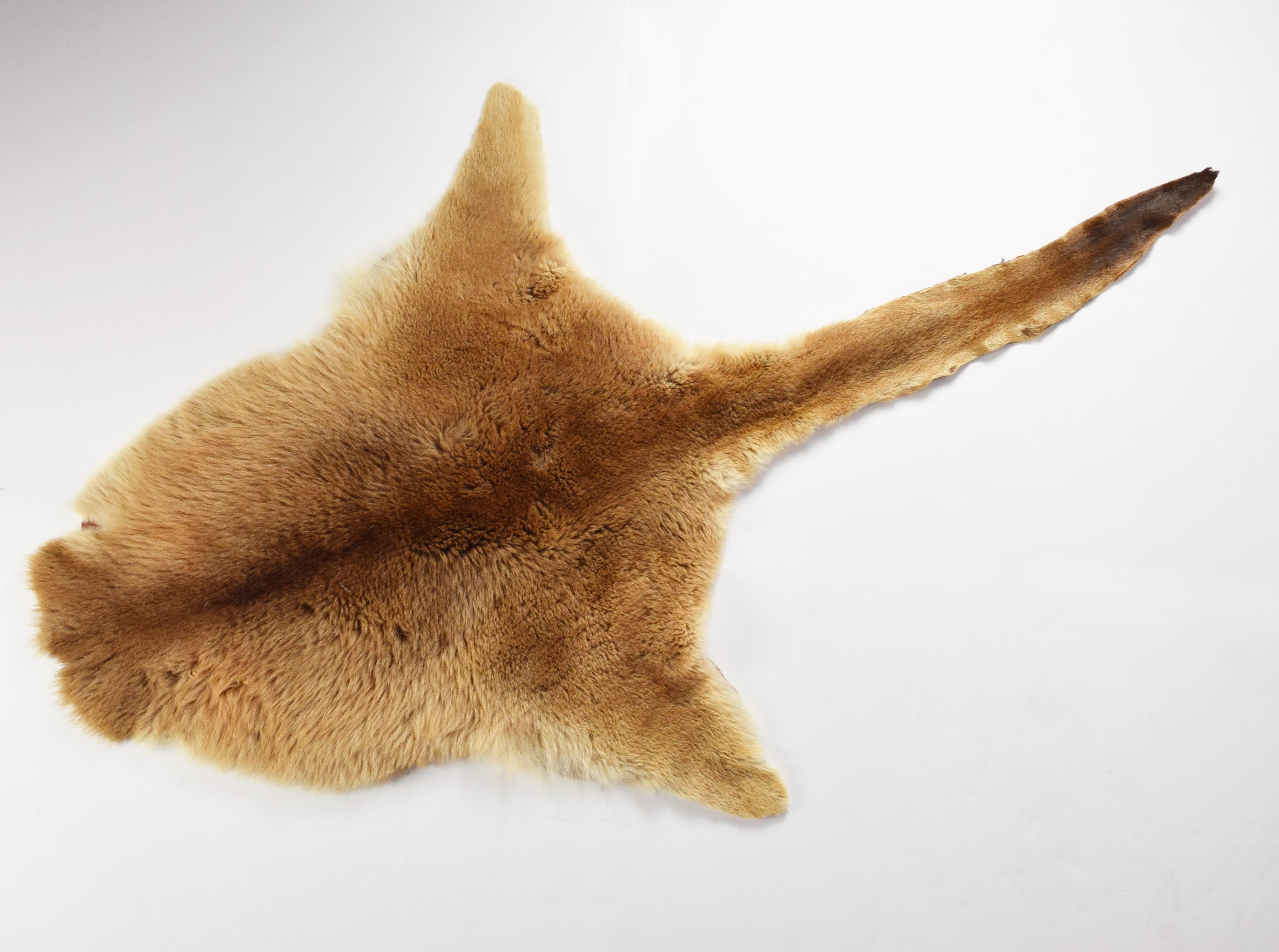 Kangaroo and Caribou Fur Pelts