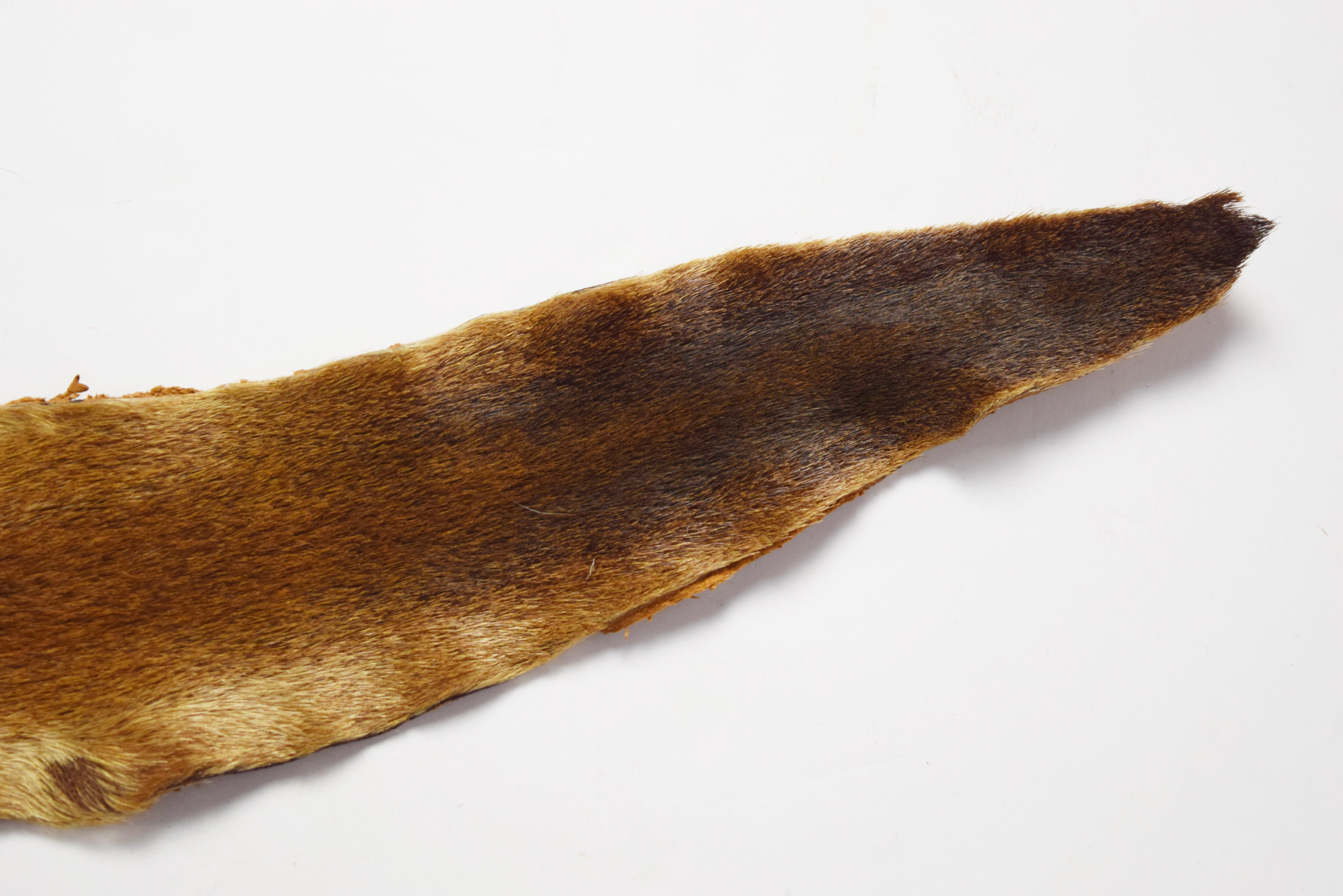 Kangaroo and Caribou Fur Pelts