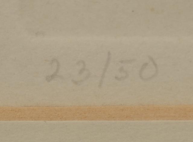 Timothy Ottochie Signed Limited Edition Cape Dorset Stonecut Print