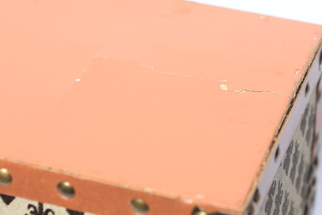 Fleur de Lis Luggage Box