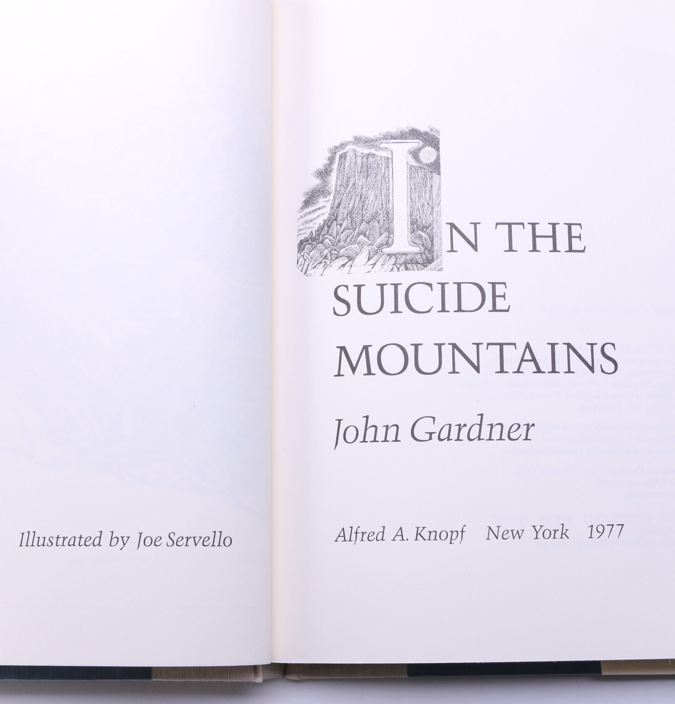 Collection of Antique and Vintage Children's Books